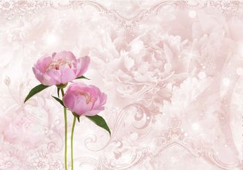 Fotótapéta - Rózsaszín bazsarózsa