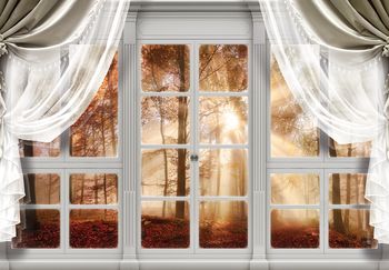Foto tapeta - Pogled na gozd z okna
