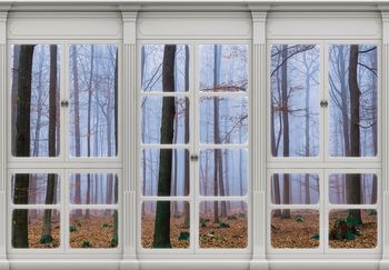Fototapeta - Výhled z okna zahalený v mlze