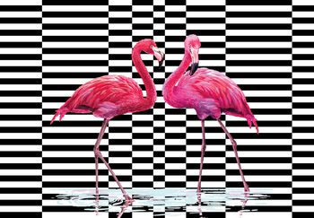 Fototapet - Flamingo 3D