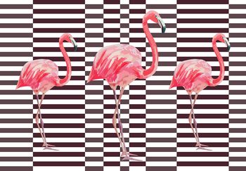 Fototapet - Flamingo 3D