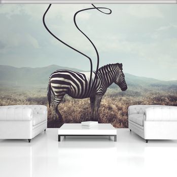 Foto tapeta - Zebra