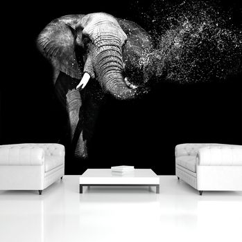 Fototapet - Elefant