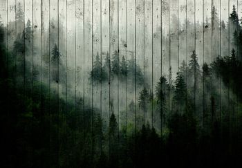 Fototapet - Ceața de pădure