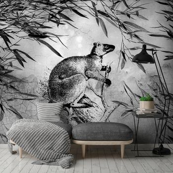 Fototapeta - Černobílý klokan
