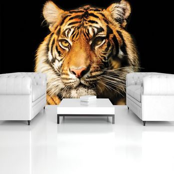 Fototapeta - Majestátný tygr