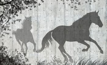 Fototapeta - Stíny koně na šedé zdi