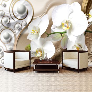 Fototapeta - Bílé orchideje