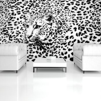 Foto tapeta - Crno-bijela - gepard