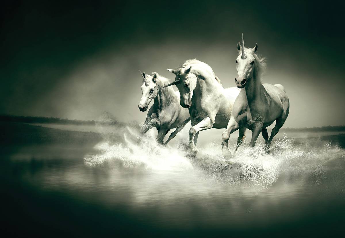 Fototapet - Unicorni galopînd pe apă (T034285)