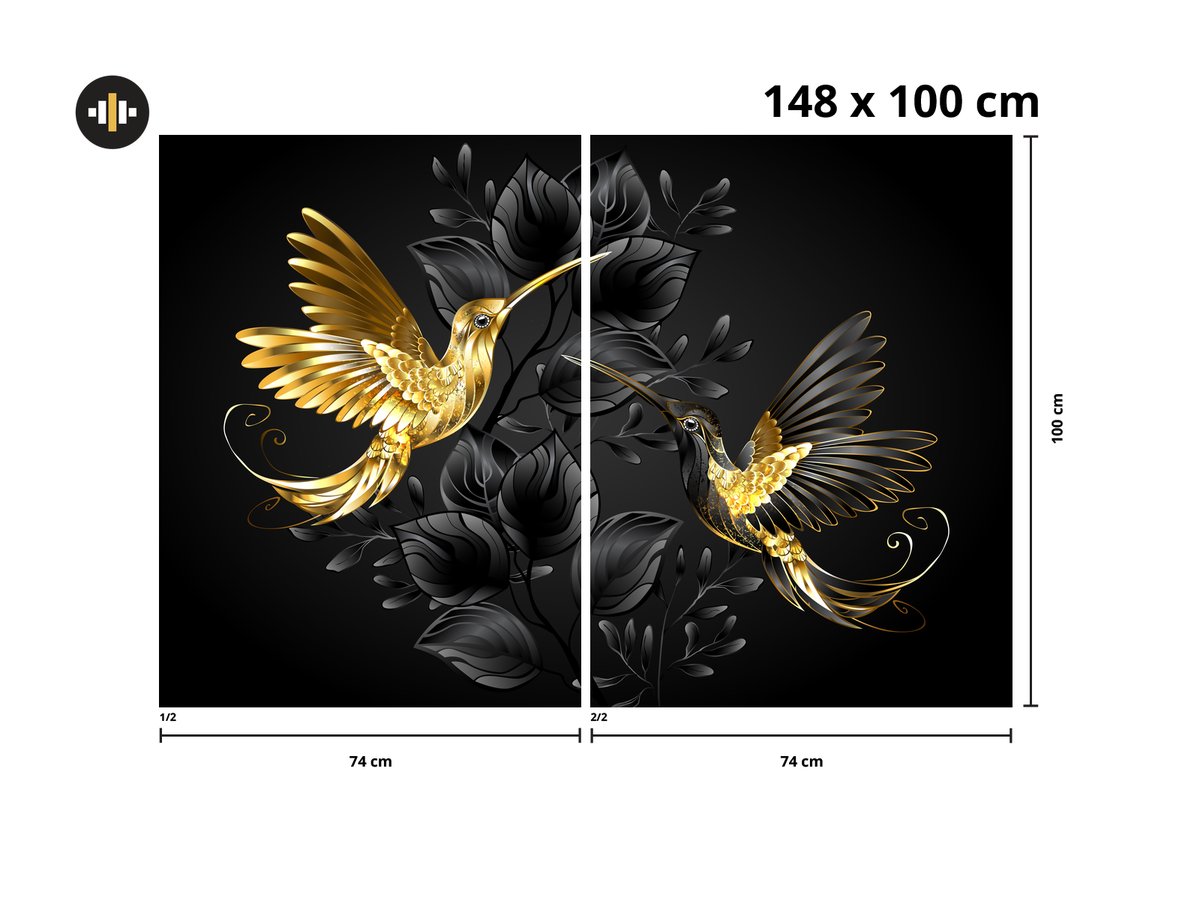 Fototapeta - Zlatí kolibříci (T100124)