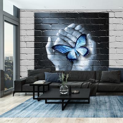 Fototapeta - Motýl na zdi