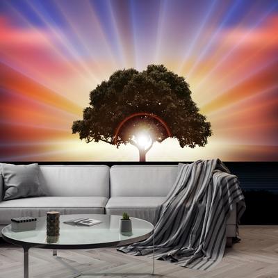 Fototapeta - Strom v záři slunce