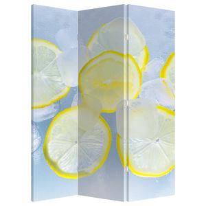 Paravan - limona v ledu