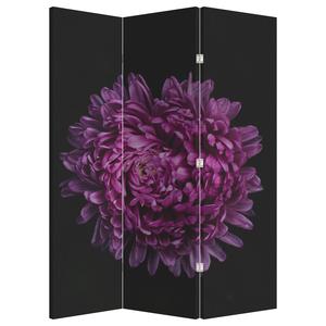 Paravan - Floare violetă