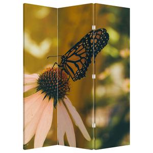 Parawan - Motyl na kwiatku