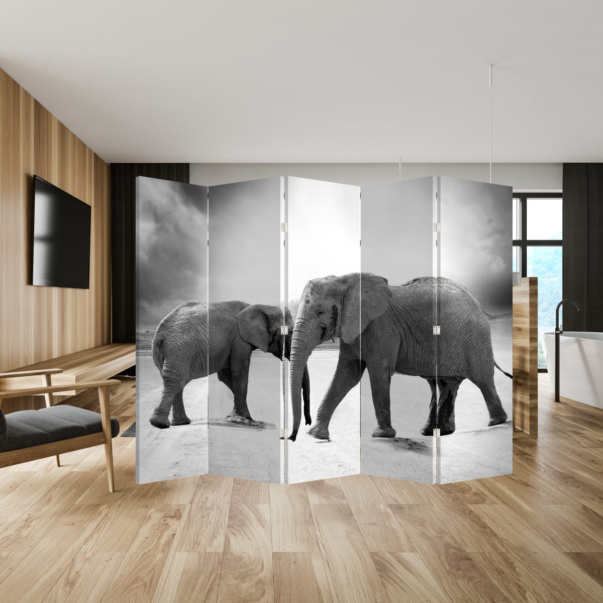 Paravan - Elefanții alb negri (P020398P225180)