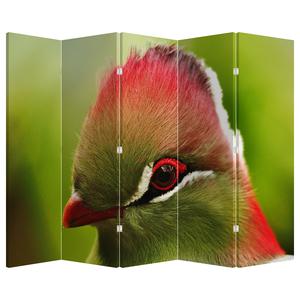 Paraván - Farebný vták