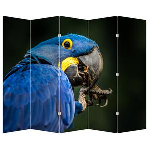product-thumbnail