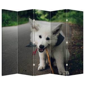 Kamerscherm - Wit hondje