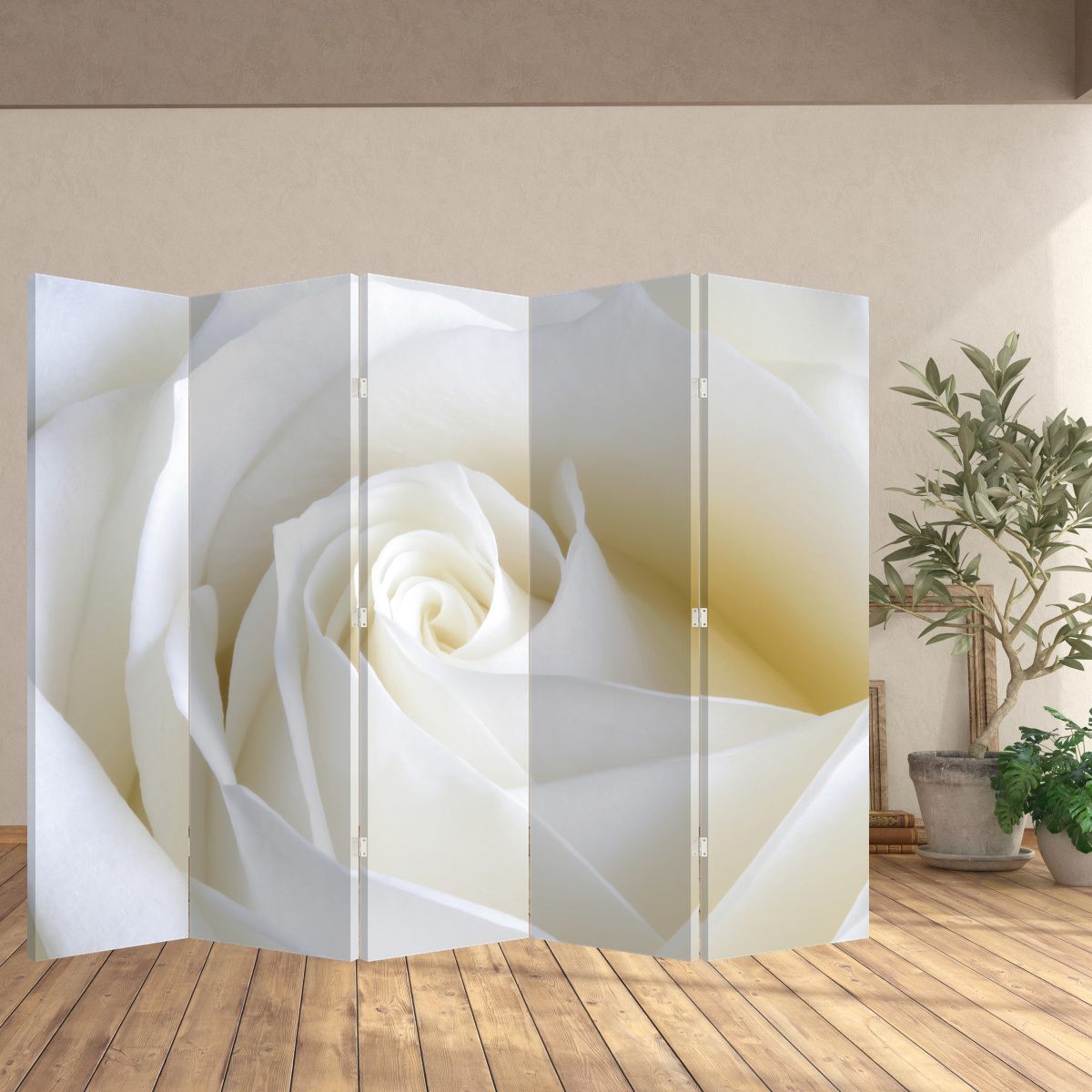 Paraván - Bílá růže (P021208P225180)