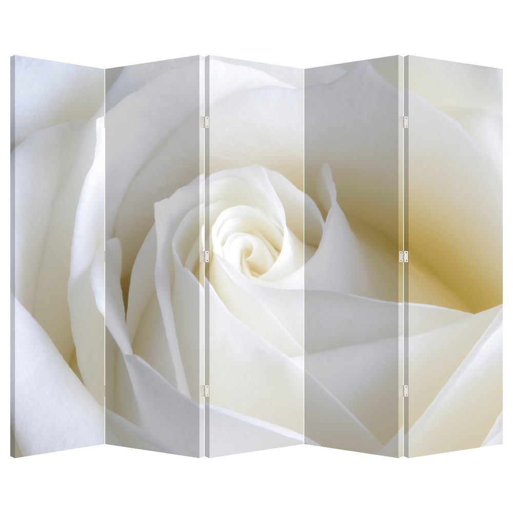 Paraván - Bílá růže (P021208P225180)