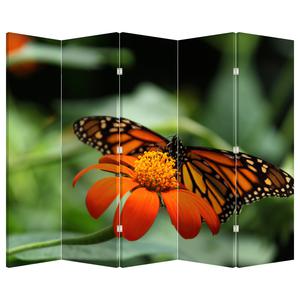 Paraván - Motýl na květině