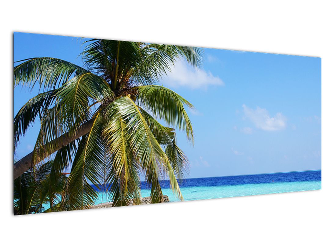 Obraz palmy na pláži (V020612V10040)