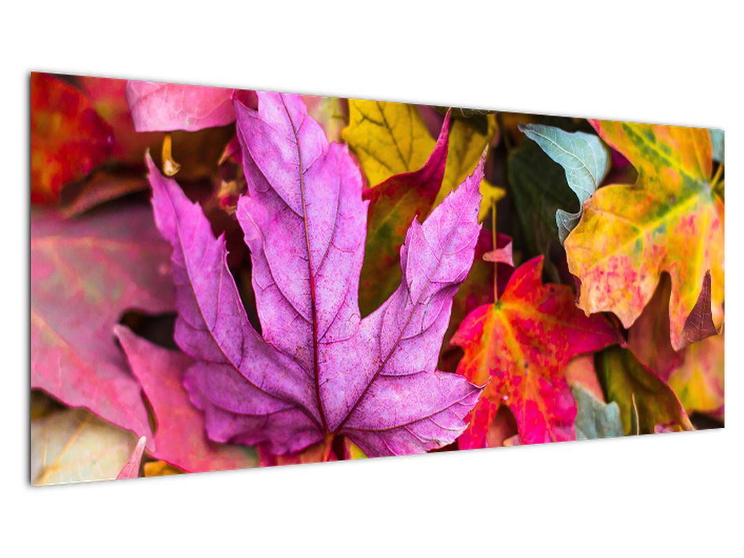 Obraz - podzimní listy (V020629V10040)