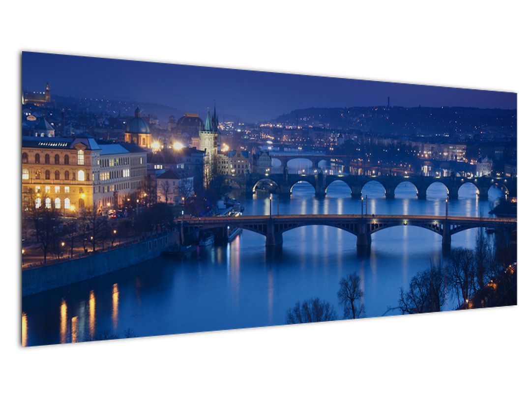 Obraz pražských mostů (V020932V10040)