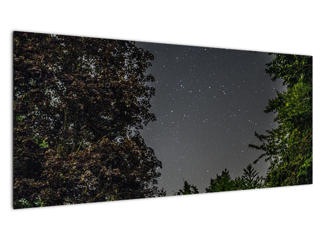 Obraz noční oblohy (V020998V10040)