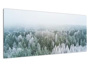 Slika - Zasneženi vrhovi gozdov