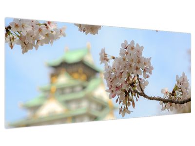 Bild auf Leinwand - Sakura