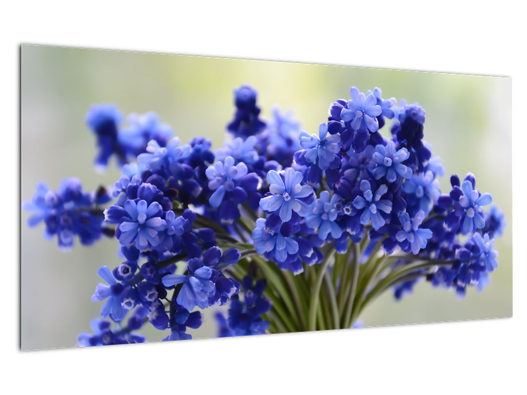 Skleněný obraz kytice modrých květů (V020175V10050GD)