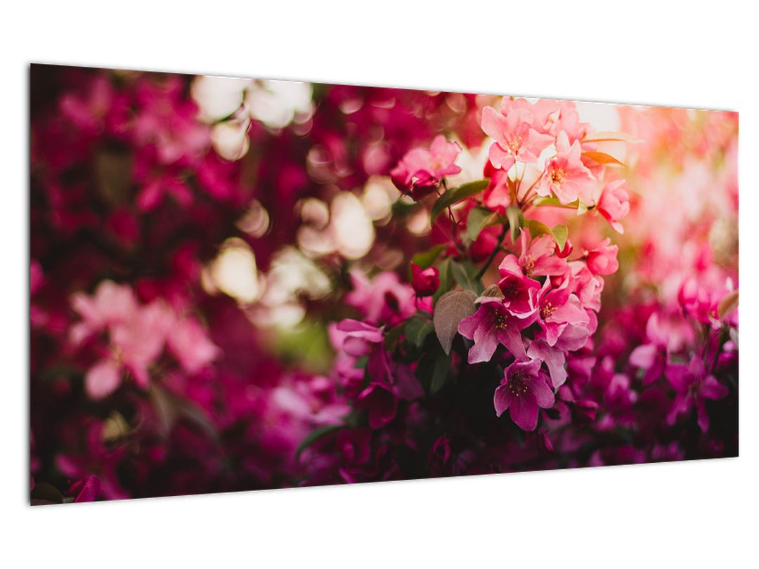 Skleněný obraz kvetů rokvitnutého keře (V020196V10050GD)