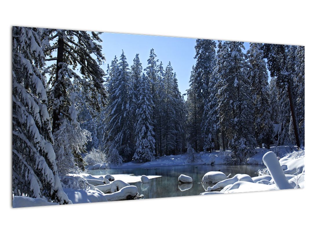 Skleněný obraz zasněženého lesa (V020221V10050GD)