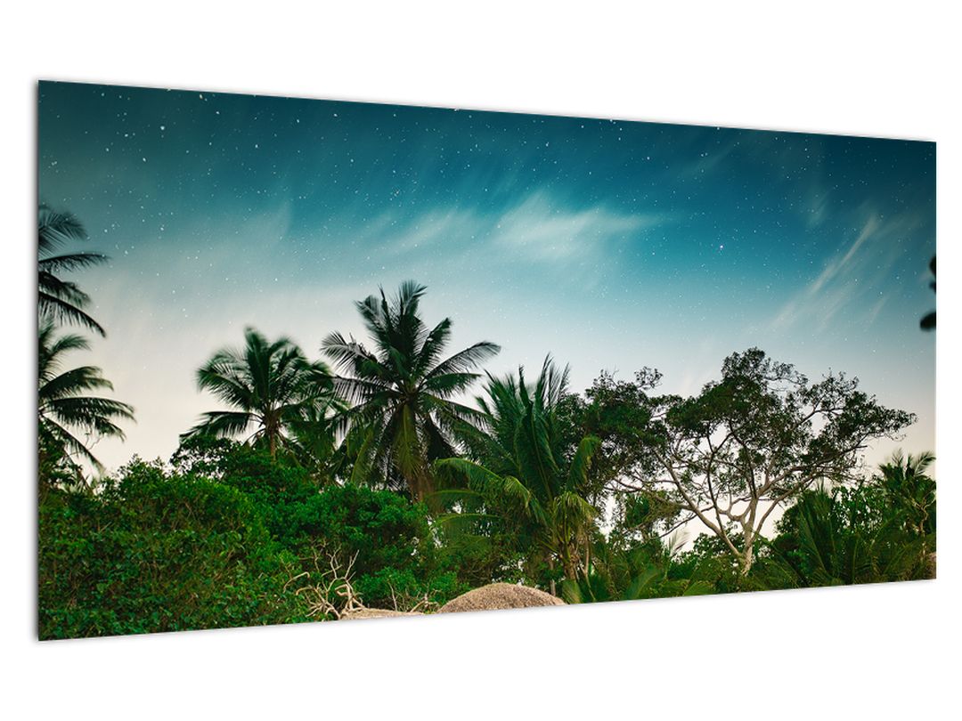 Skleněný obraz - palmy (V020239V10050GD)