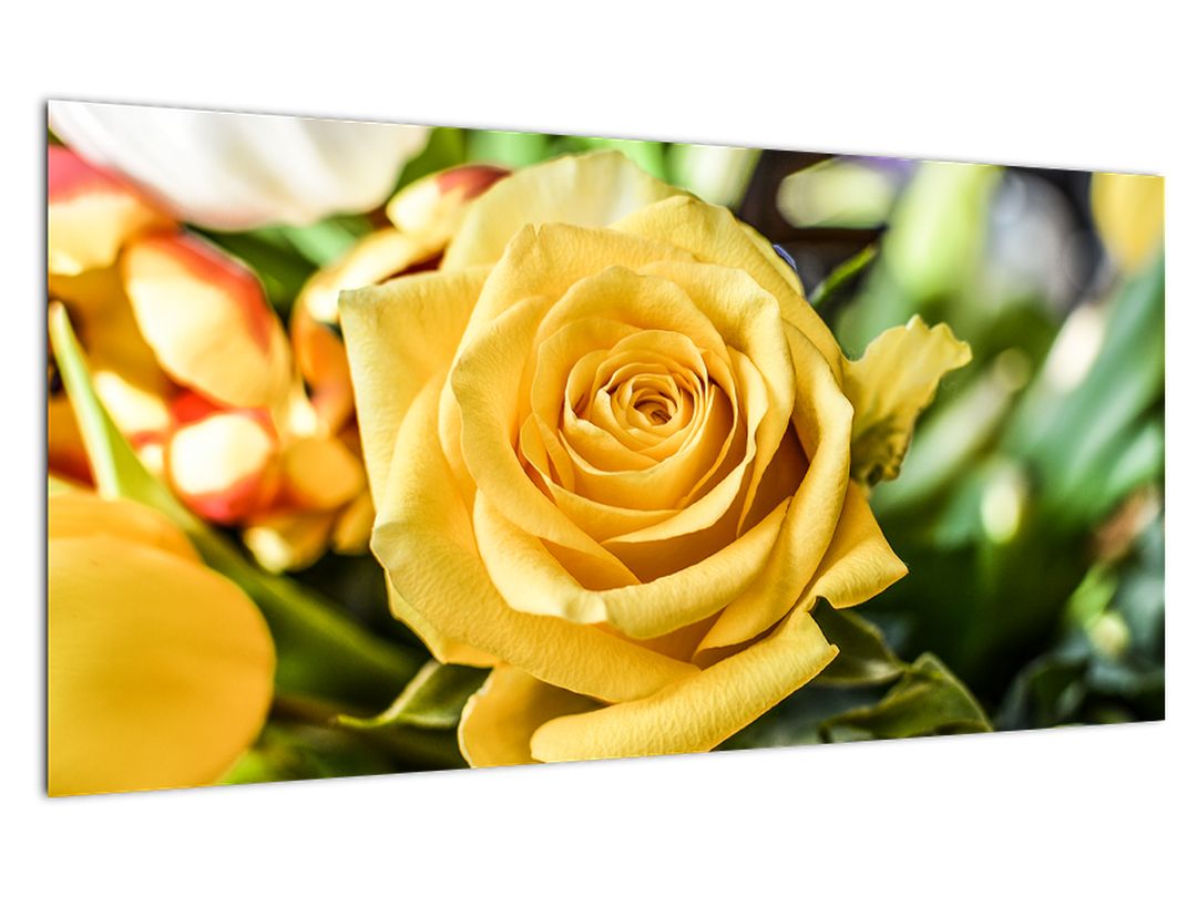 Skleněný obraz růže (V020280V10050GD)