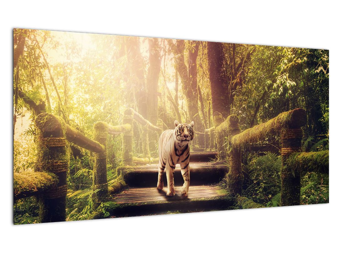 Skleněný obraz tygra v džungli (V020479V10050GD)