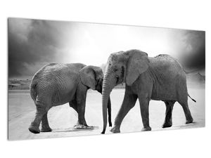 Tablou pe sticlă cu elefanți (V020900V10050GD)
