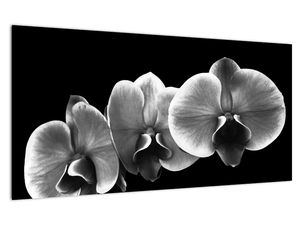 Tablou pe sticlă floare de orhidee (V022015V10050GD)