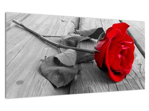 Egy vörös rózsa képe (üvegen) (V022288V10050GD)
