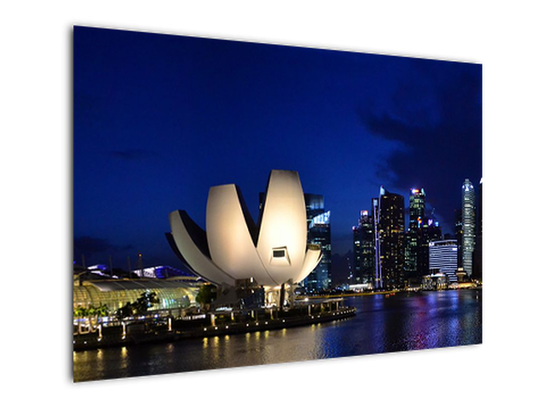 Obraz nočního Singapouru (V020610V10070)