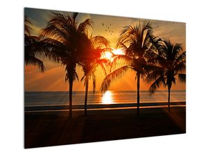 Obraz palmy o zachodzie słońca