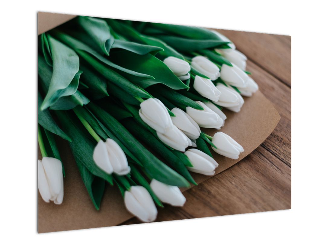 Obraz kytice bílých tulipánů (V020922V10070)
