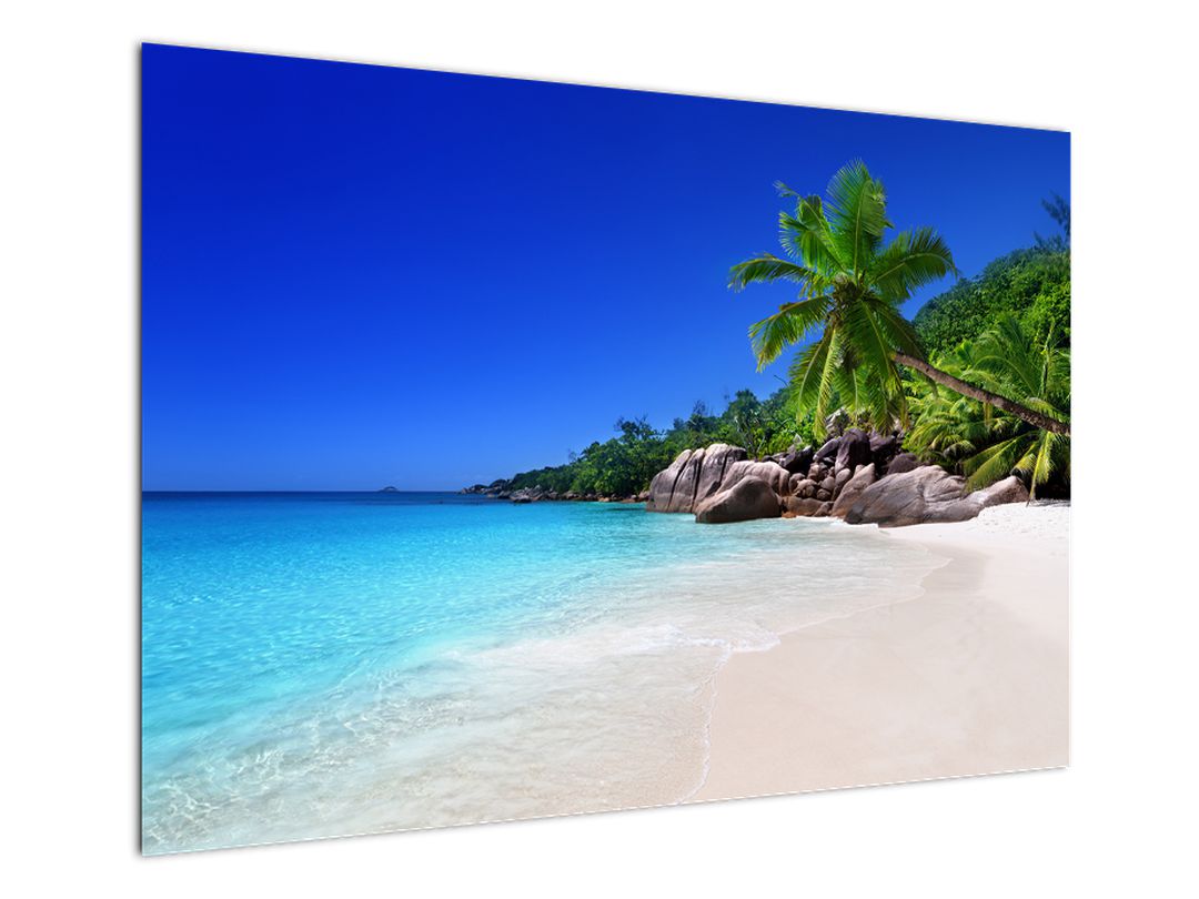 Obraz pláže na Praslin ostrově (V020936V10070)