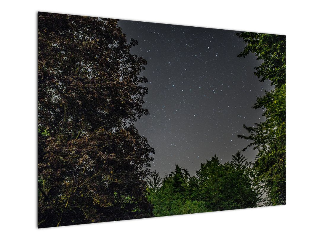 Obraz noční oblohy (V020998V10070)
