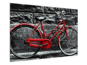 Obraz - Historický bicykl