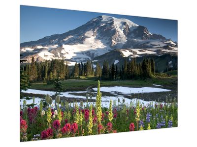 Obraz - Mount Rainier