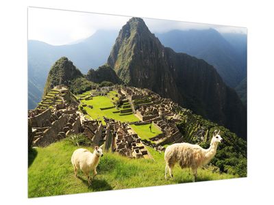 Obraz - Machu Picchu